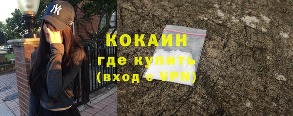 крисы Надым