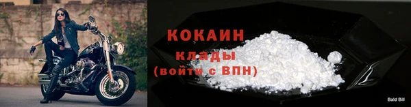 крисы Надым