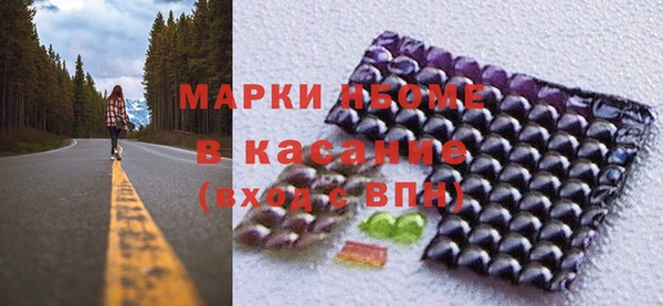 крисы Надым