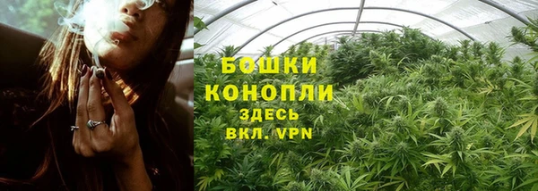 крисы Надым